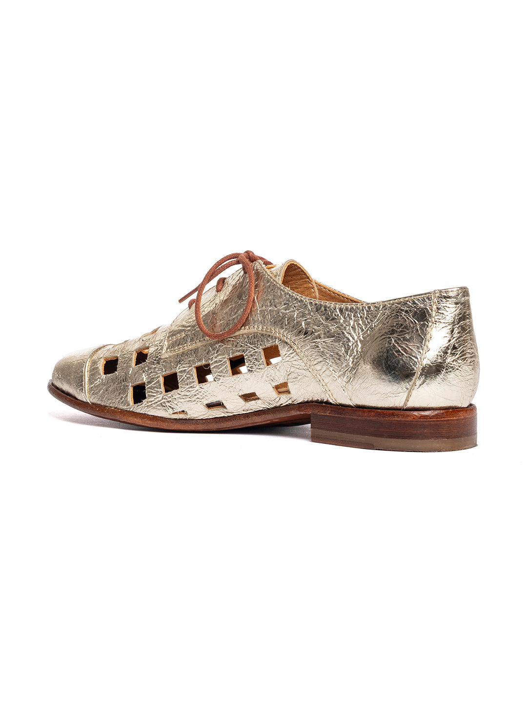 Derby in capra 32901/100